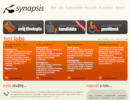 www.synapsis.cz.gif